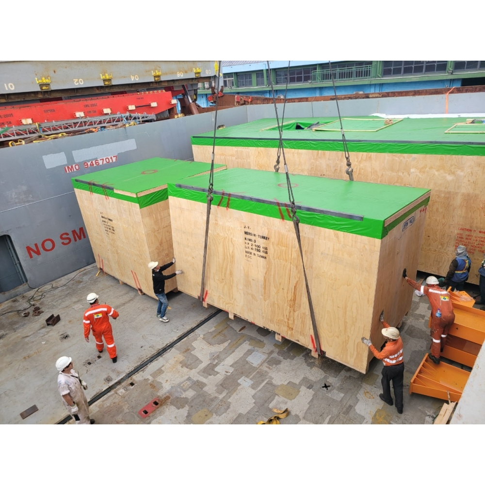 Bulk carrier professional survey report.jpg