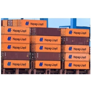 1755481988234.jpg